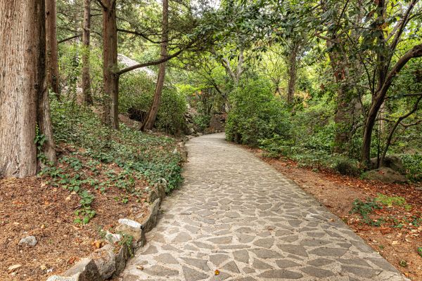 Stone Walkway Repair in Ann Arbor