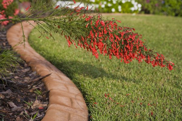 Brick Edging in Ann Arbor