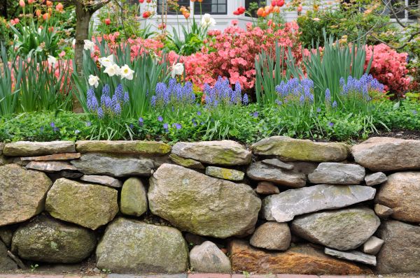 Stone Wall Hardscaping in Ann Arbor