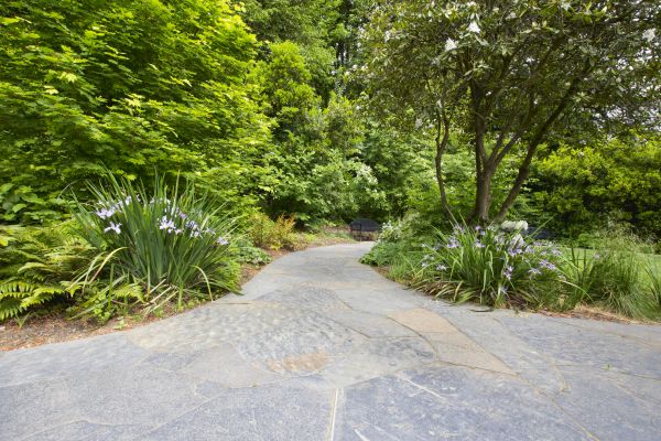 Stone Hardscape Service in Ann Arbor